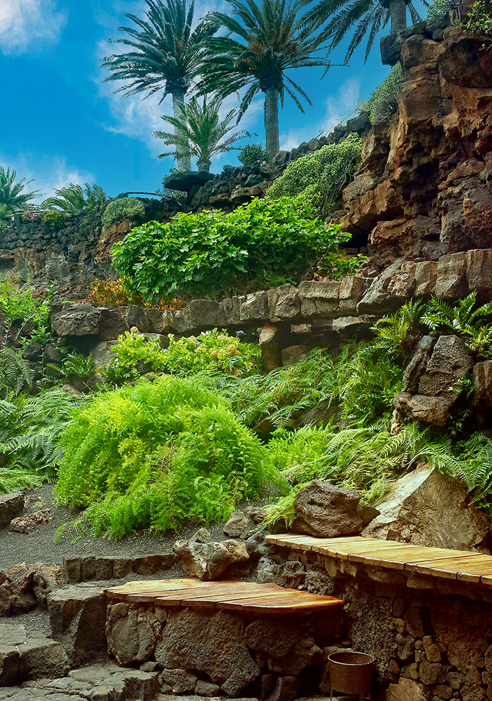 Jameos del Agua